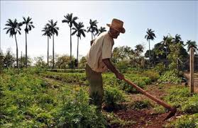 El Ayuntamiento Municipal de Villa Los Almácigos, junto al alcalde municipal, conmemoró este 15 de mayo el Día del Agricultor Dominicano, reconociendo la dedicación, esfuerzo y compromiso de todos los hombres y mujeres del campo que contribuyen al desarrollo agrícola y económico del municipio y de toda la nación.
